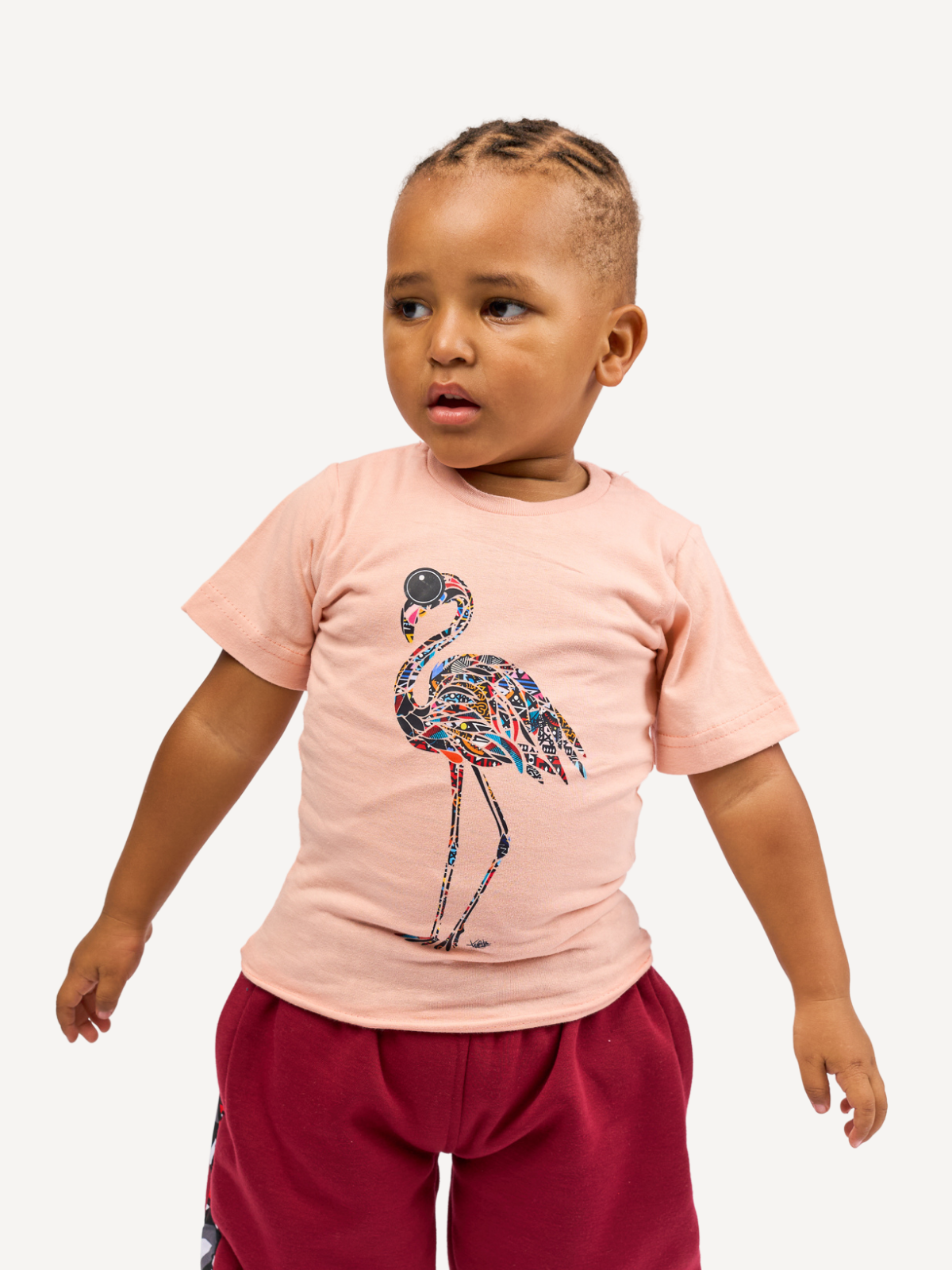 Kali Kids Ts: Baby Pink with Flamingo