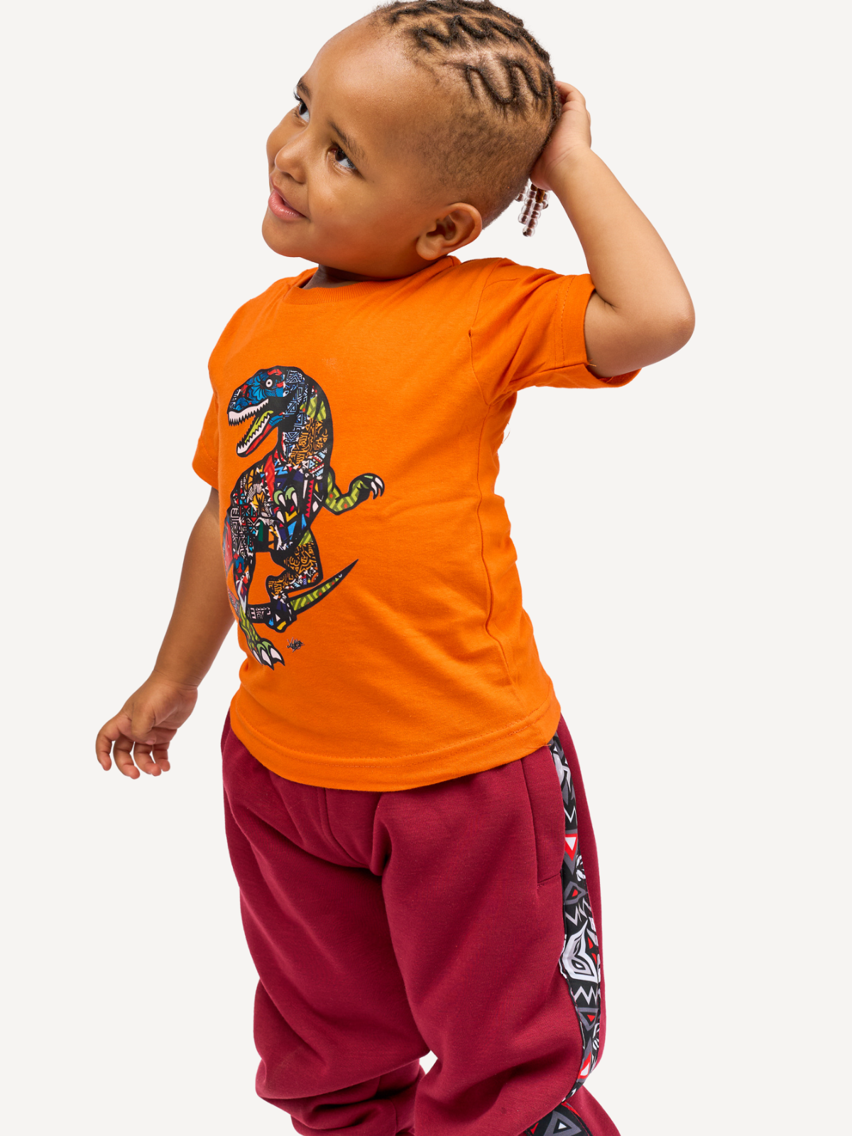 Kali Kids Ts: Orange with Dino 2