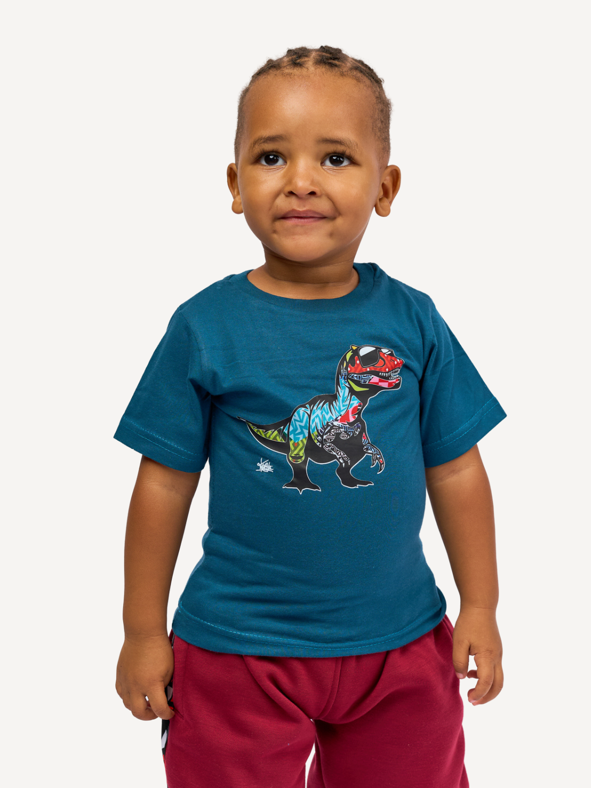 Kali Kids Ts: Petrol with Dino 1